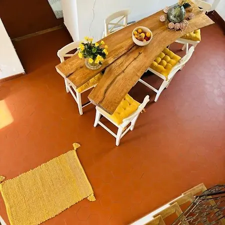 Charmante Maison De Village Olivese