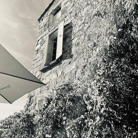 Charmante Maison De Village Apartmán Olivese